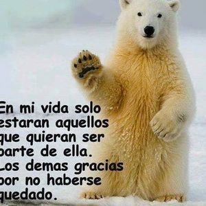 Meet your Posher, Ada